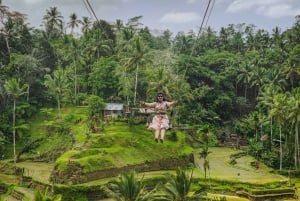Ubud: Foresta delle scimmie, terrazze di riso, tempio e cascate