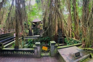 Ubud: Tur til apeskog, risterrasse, tempel og fossefall