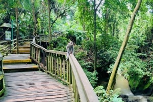 Ubud: Małpi Las, Taras Ryżowy, Świątynia i Wycieczka nad Wodospad
