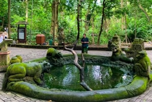 Ubud: Rundtur i apskog, risterrass, tempel och vattenfall