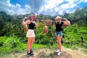 Ubud: Monkey Forest, Rice Terrace, Temple & Waterfall Tour