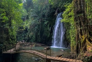 Ubud: Monkey Forest, Rice Terrace, Temple & Waterfall Tour