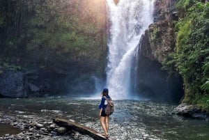 Bali: Affenwald, Reisterrassen, Tempel und Wasserfall in Ubud
