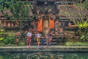 Bali: Foresta delle scimmie, terrazze di riso, tempio e cascata di Ubud