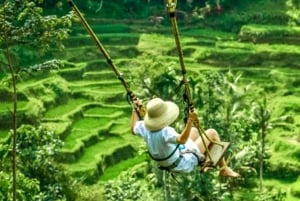Bali : Ubud : forêt de singes, rizières en terrasses, temple et cascade
