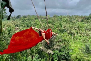 Bali : Visite guidée personnalisée d'Ubud avec un guide professionnel
