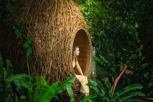 Bali: Bosque de los Monos, Tegalalang, Uluwatu y Danza Kecak