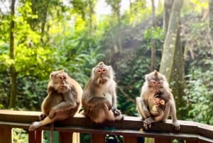 Bali: Bosque de los Monos, Tegalalang, Uluwatu y Danza Kecak