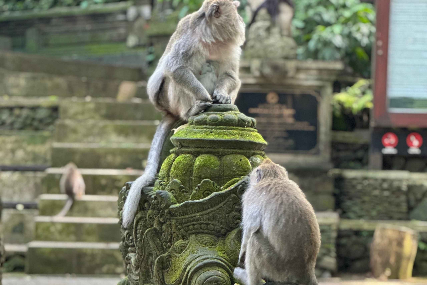 Bali ubud : monkey forest, waterfall , temple