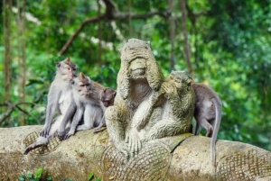Bali ubud : monkey forest, waterfall , temple