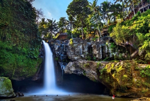 Bali : Ubud Private Day Tour with Transfer