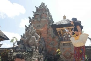 Bali : Ubud Customizable Private Car Tour with Driver