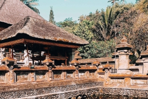Bali: Private Ubud Tour with Monkey Forest and Rice Terrace