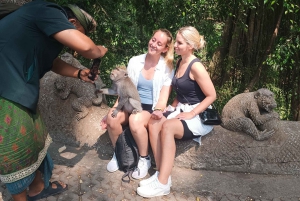 Bali: Private Ubud Tour with Monkey Forest and Rice Terrace