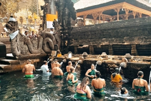 Bali: Private Ubud Tour with Monkey Forest and Rice Terrace