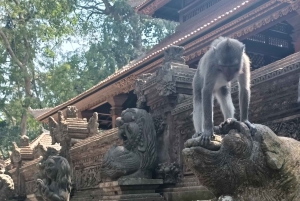 Bali: Private Ubud Tour with Monkey Forest and Rice Terrace