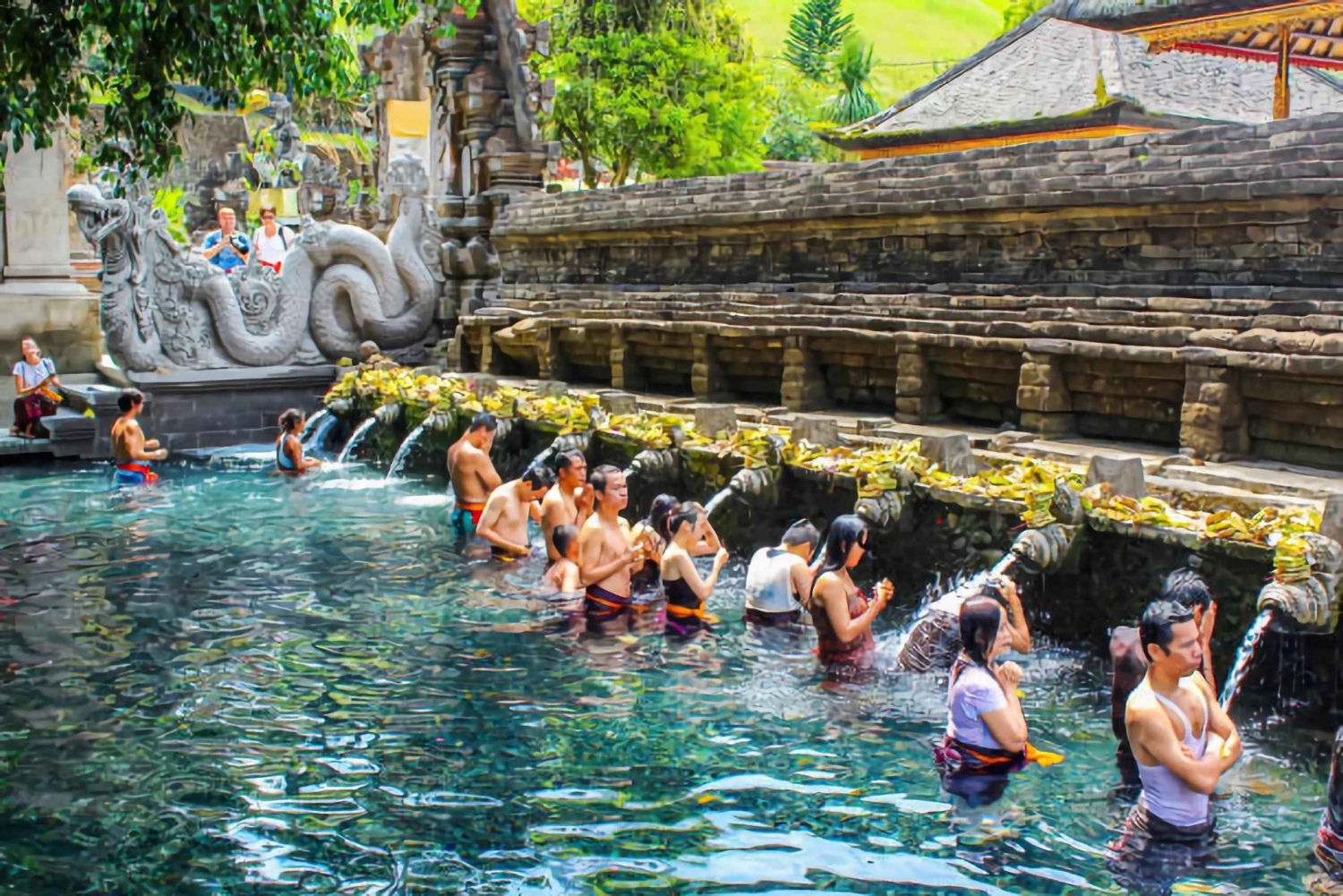 Bali: Privat heldagstur til Ubud