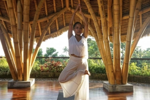Bali: Ubud: Yksityinen jooga ja parantava meditaatio