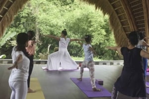 Bali: Ubud Private Yoga and Healing Meditation