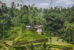 Bali: Ubud Rice Terraces, Monkey Forest & Waterfall Tour