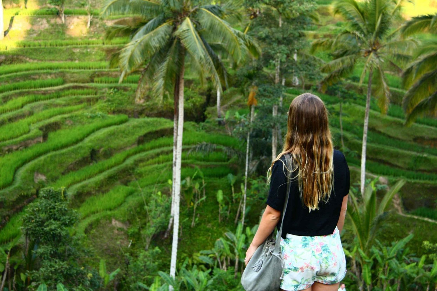 Ubud Rice Terraces, Temples and Volcano Day Trip