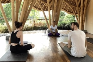 Bali: Duchowe oczyszczanie i uzdrawiająca medytacja w Ubud