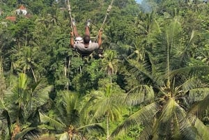 Bali: Ubud Swing Experience with Jungle View