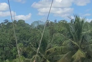 Bali: Ubud Swing Experience with Jungle View