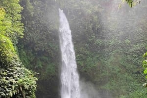 Bali Columpio y Cascada de Ubud