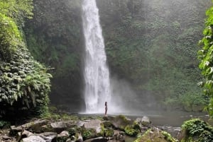 Bali: Tour dell'altalena e delle cascate di Ubud