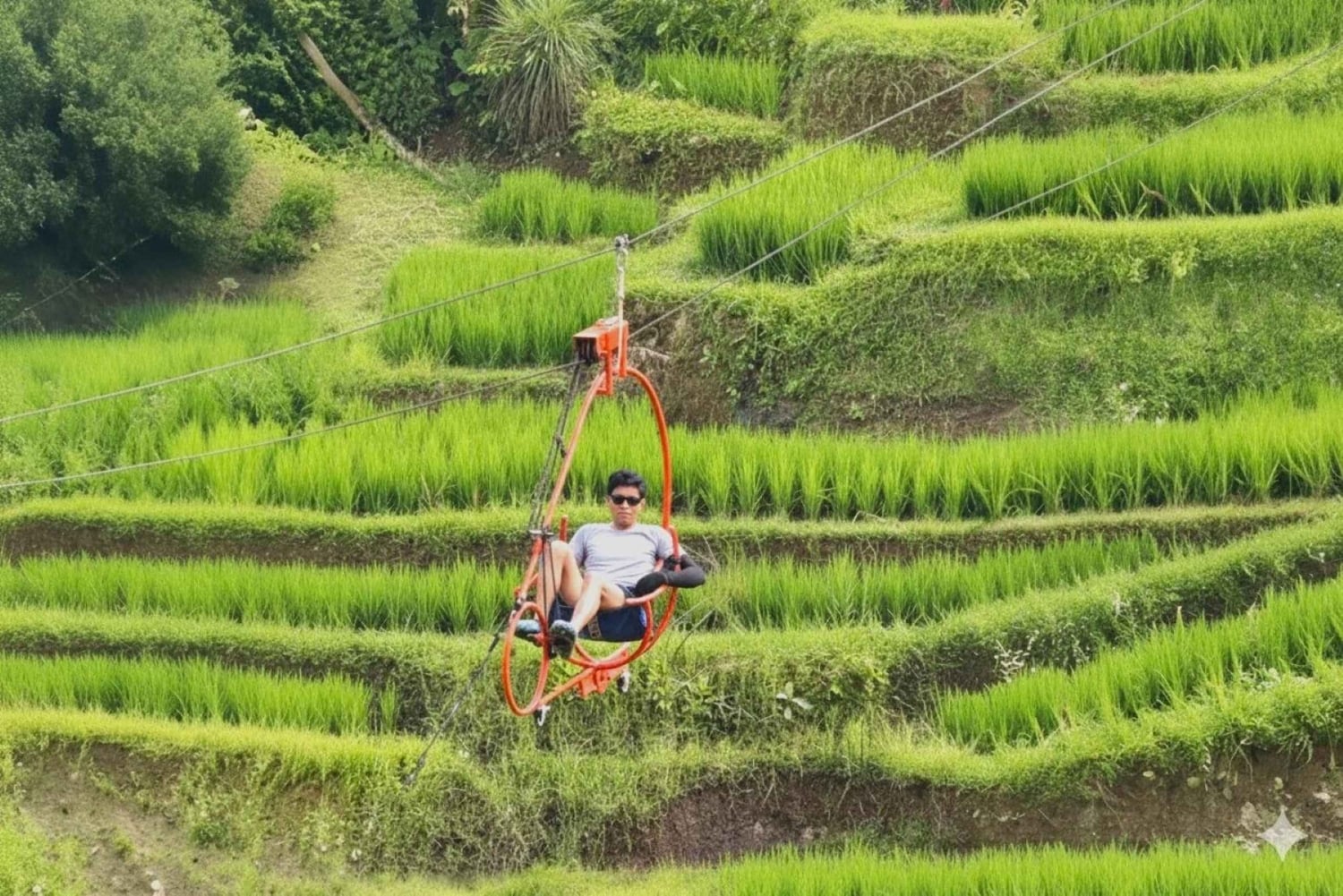 Bali: Ubud Swing, Zipline, SkyBike i en privat risterrass