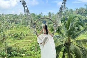 Bali: Ubud Swing, Zipline, SkyBike i en privat risterrass