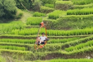 Bali: Ubud Swing, Zipline, SkyBike i en privat risterrass