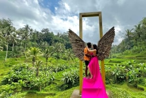 Bali: Ubud Swing, Zipline, SkyBike i en privat risterrass