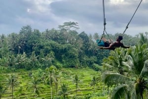 Bali: Ubud Swing, Zipline, SkyBike i en privat risterrass