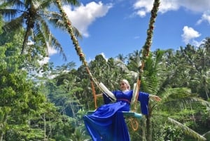 Bali: Ubud Swing, Zipline, SkyBike i en privat risterrass