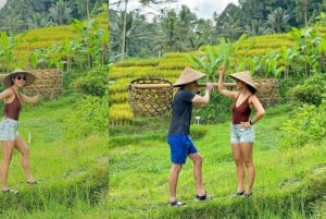 Bali: Ubud Swing, Zipline, SkyBike i en privat risterrass