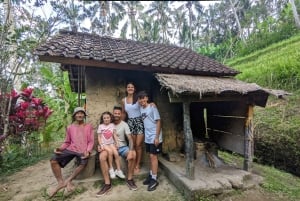 Bali: Ubud Swing, Zipline, SkyBike i en privat risterrass