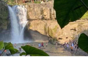 Bali: templo de Ubud, terraza de arroz y cascada