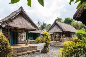 Bali: Ubud (Temple, Spring, Rice Terraces, & Waterfall)