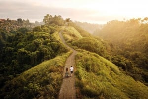Bali: Ubud (Temple, Spring, Rice Terraces, & Waterfall)