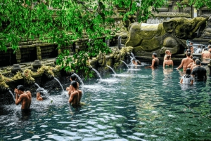 Bali: Ubud (Temple, Spring, Rice Terraces, & Waterfall)