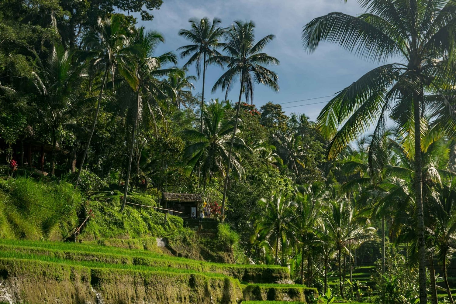 Bali: Ubud Temples, Rice Terraces, & Waterfall Day Tour