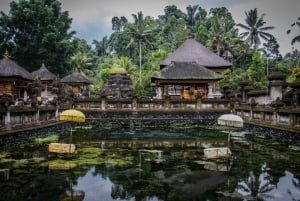 Bali: Ubud Temples, Rice Terraces, & Waterfall Day Tour