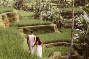Bali Ubud Tour Best of Ubud Higlight with private Transfers