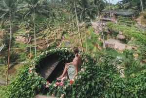 Bali Ubud Tour Best of Ubud Higlight with private Transfers