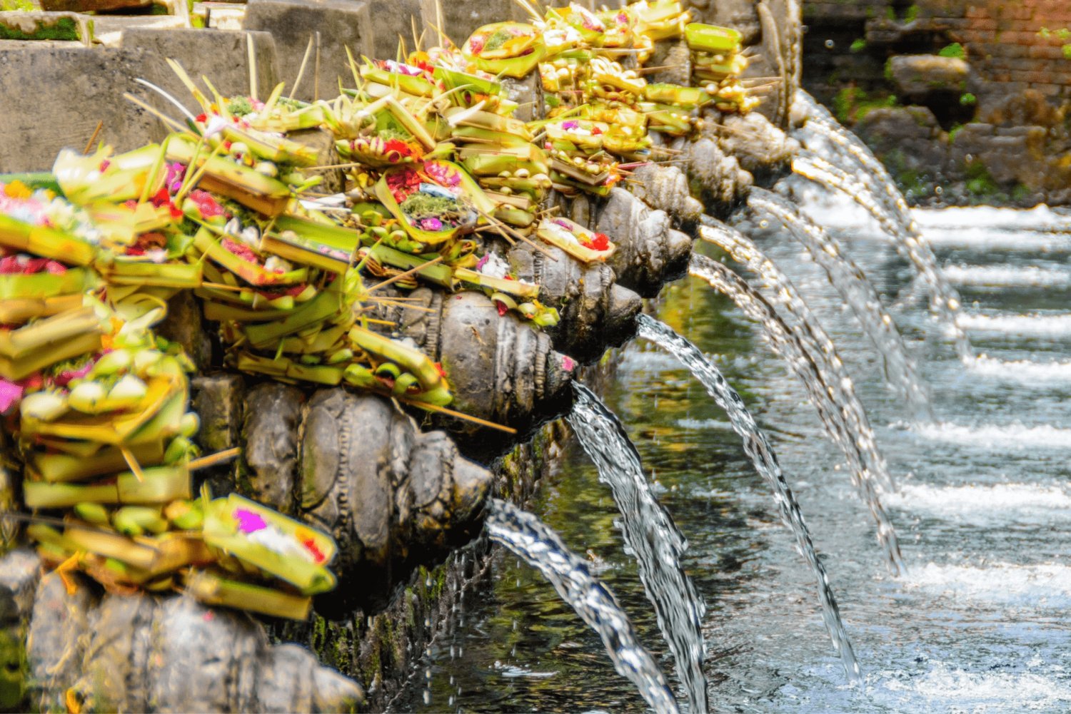 Bali: Ubud-tur med helig apskog och risterrasser