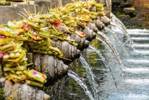 Bali: Ubud-tur med helig apskog och risterrasser