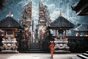 Bali: Ubud-tur med helig apskog och risterrasser