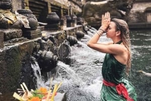 Bali: tour por Ubud con Tirta Empul, arrozal y cascada